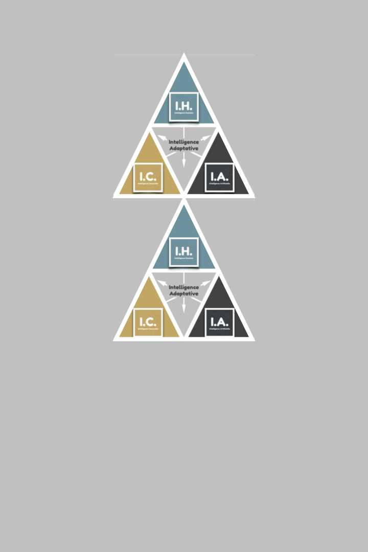 0_IA, IH, IC_720 x 1080_2.012