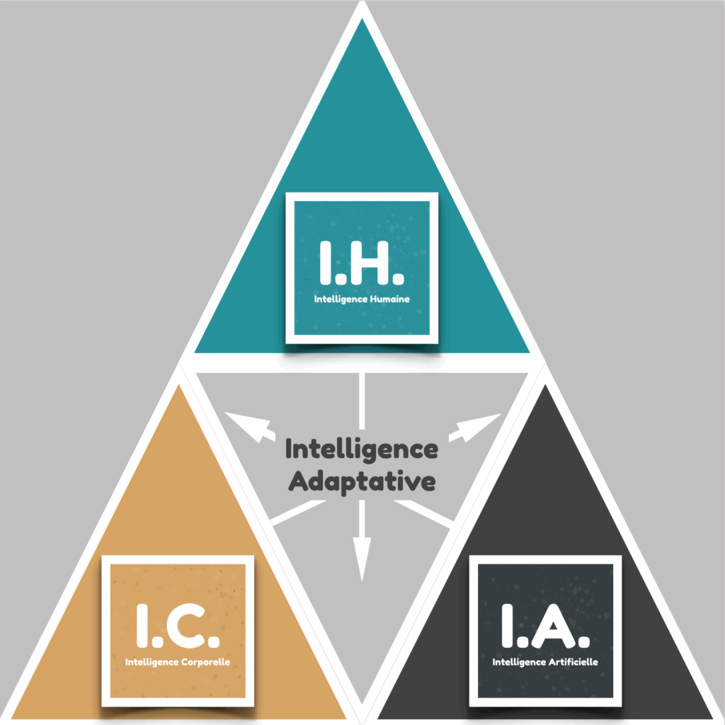 Triangle représentant la convergence de l’intelligence artificielle, humaine et corporelle, avec au centre l’intelligence adaptative.