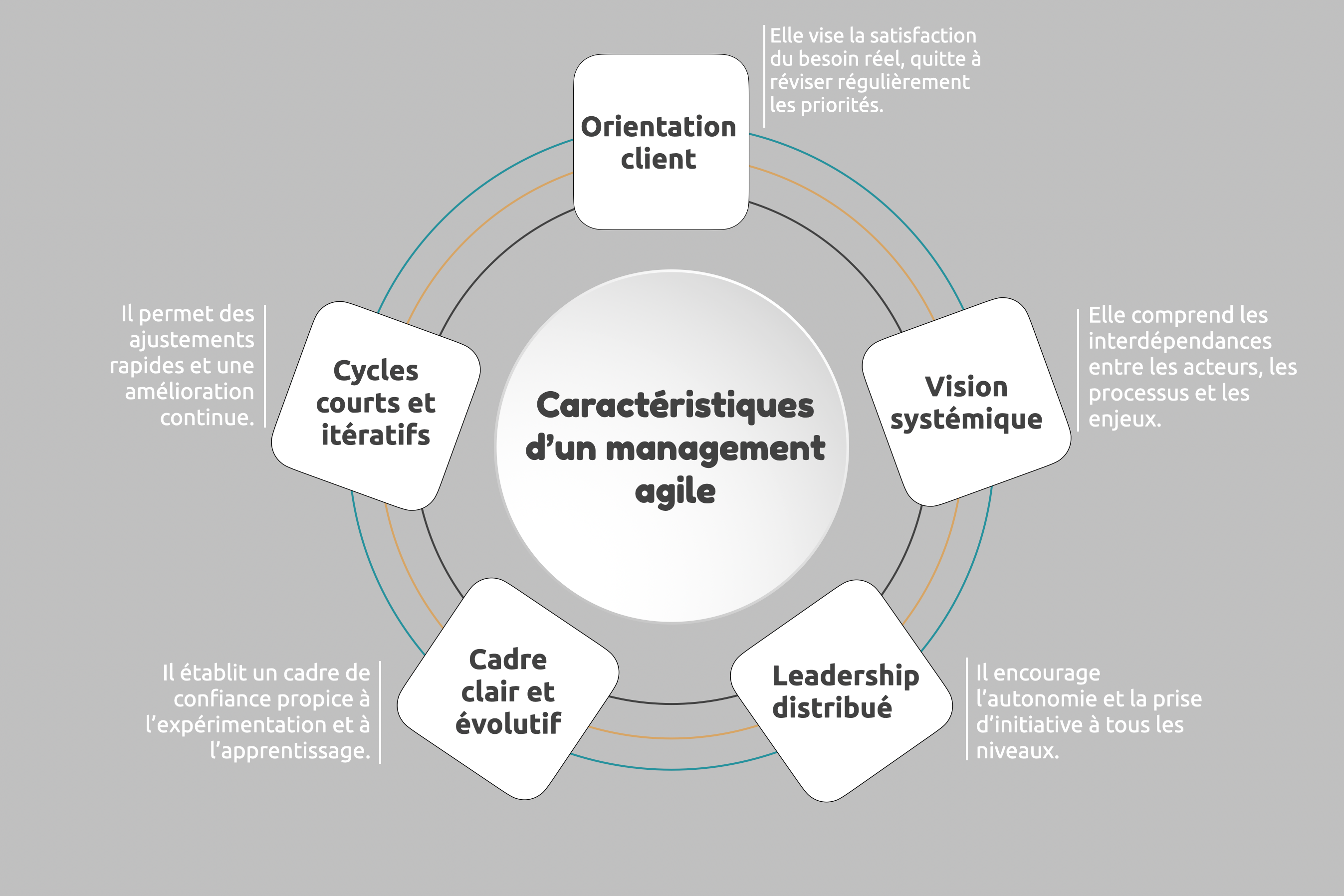 Schéma représentant les cinq caractéristiques clés du management agile sous forme de carrés autour d’un titre central