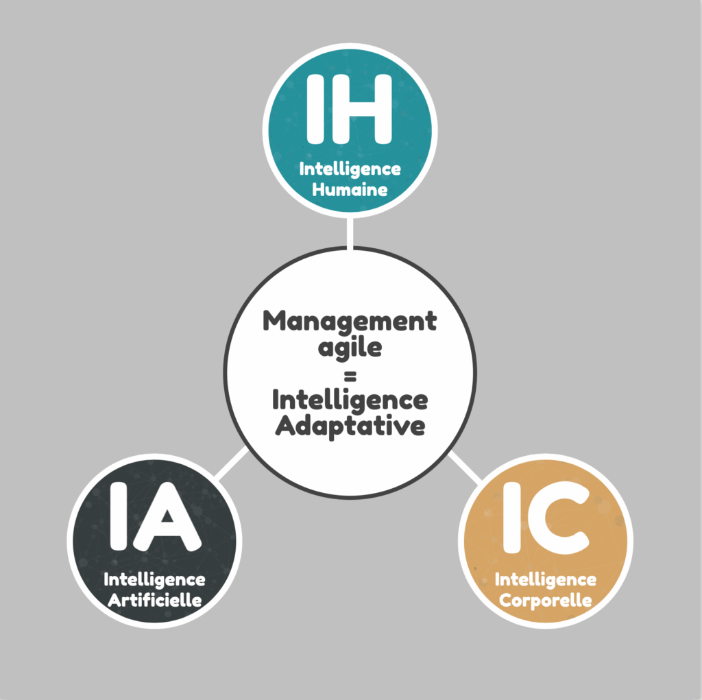 Schéma illustrant la relation entre intelligence artificielle, intelligence humaine et intelligence corporelle dans une posture de management agile
